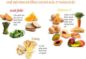 first trimester nutrition page 001 1